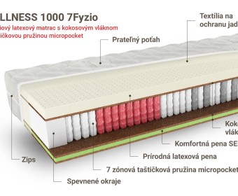 WELLNESS 1000 7fyzio