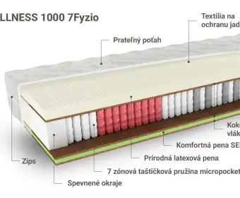 WELLNESS 1000 7fyzio