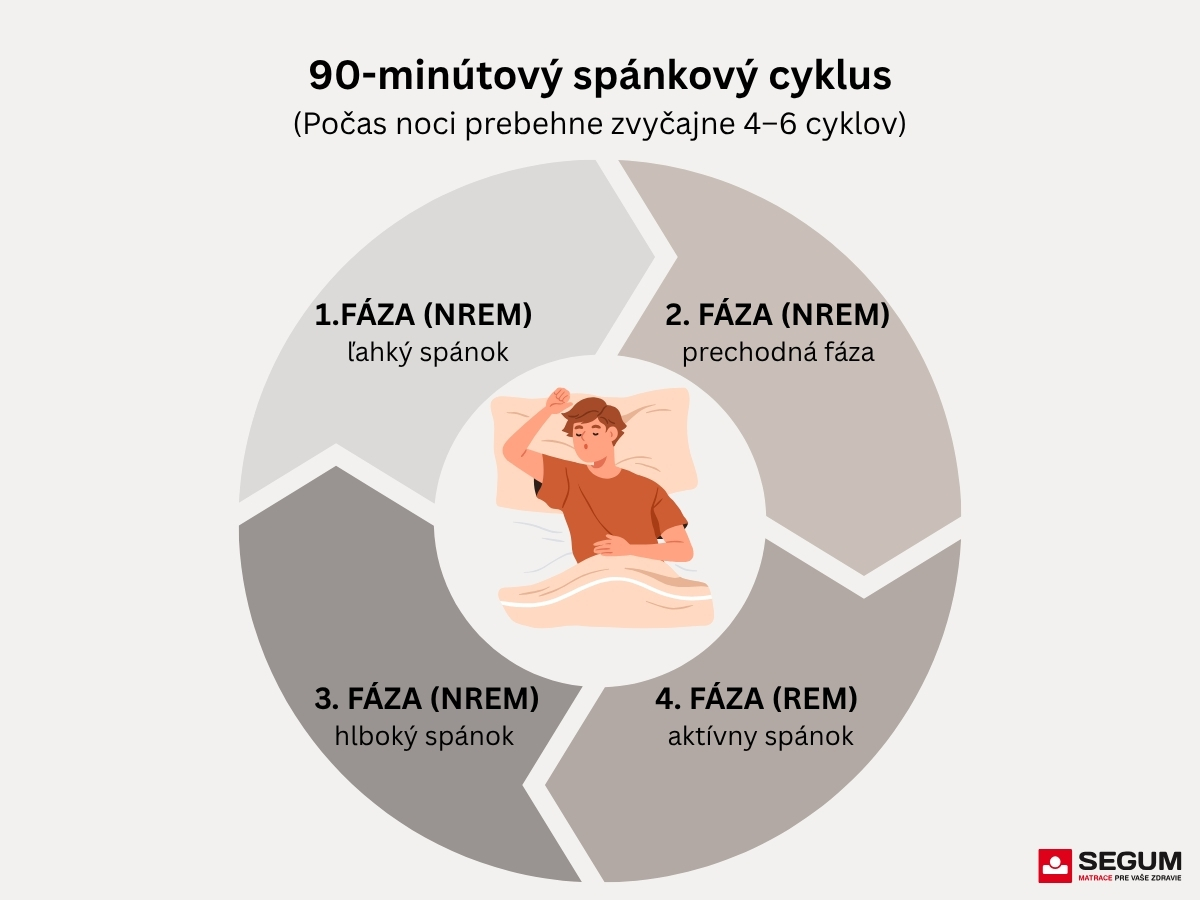 Jeden spánkový cyklus.